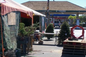 Christmas tree sale tent