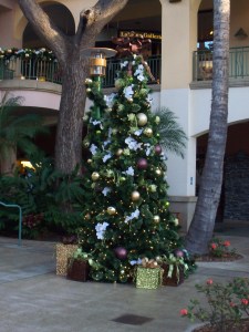 Court yard @ the Shops of Wailea