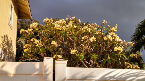 IMG_20150427_235413_613 copy