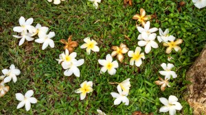 IMG_20150427_235451_827 copy