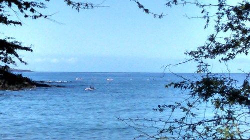 Look closely for kayakers, stand up paddle boarders and outrigger canoers