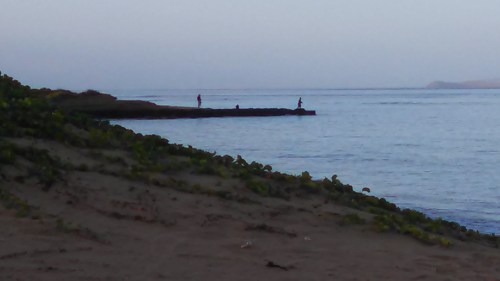 Fishing from the shore