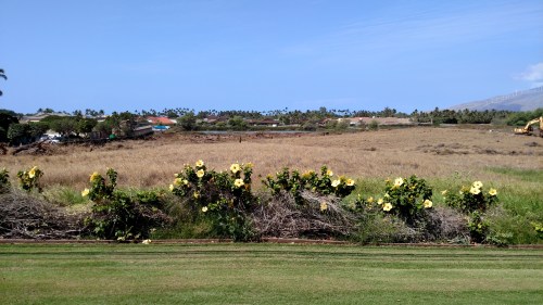 Downtown_0216_2_IMG_20160220_111957661 copy