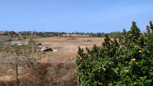 Downtown_0216_3_IMG_20160220_112143809 copy