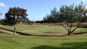 Street view of Pi'ikea Park