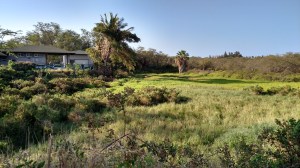 Halekuai Street, south side between Maui Dive Shop headquarters and Kihei Rental Car