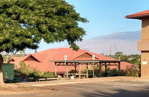 school4_IMG_20160306_095737 copy