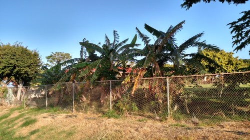 school5_IMG_20160306_075408633_HDR copy