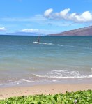 windsurfing3_IMG_20160827_114310 copy