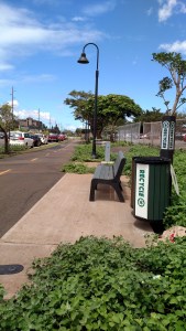 Benches, water fountains, trash receptacles, lighting, landscaping with irrigation and new trees