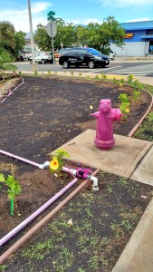 The color code for reclaimed water is PINK.