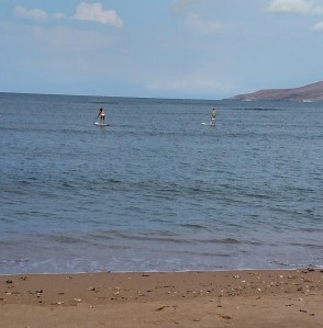 Home team makes it look easy.