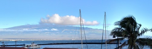 Look at the water's edge